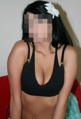 Ankara Escort Notlarim